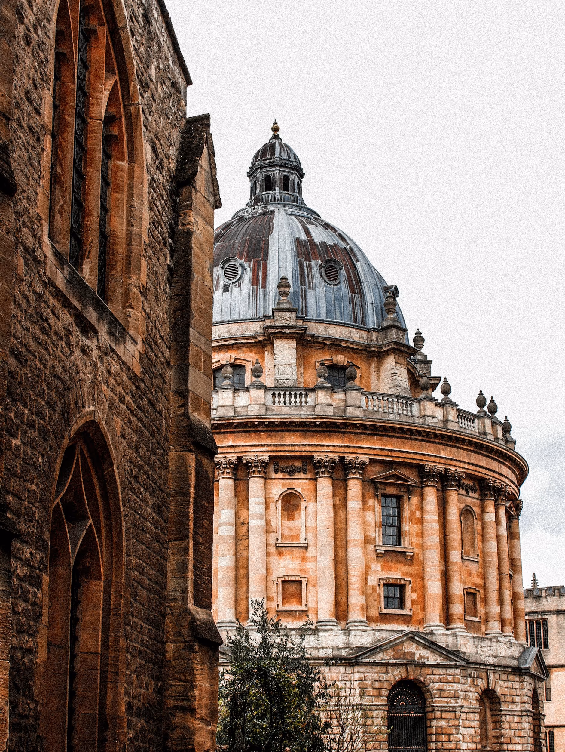 Academic organisations