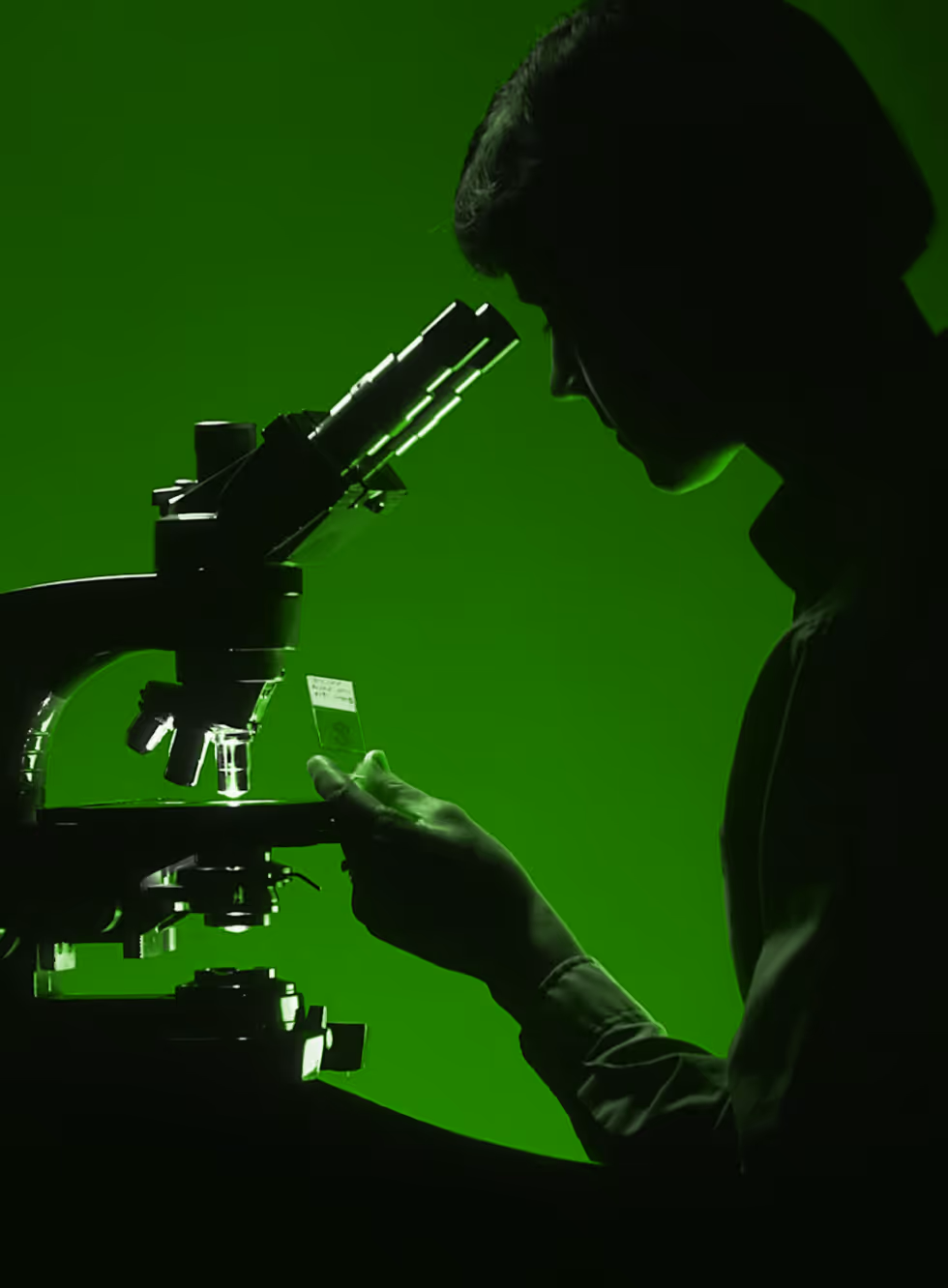 A person looking through a microscope